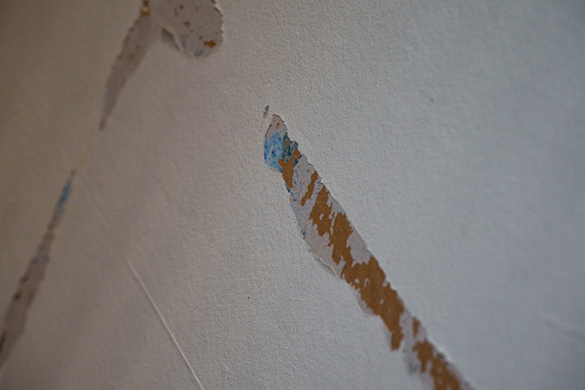 Water Extraction service in Leominster, MA